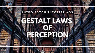 Gestalt Laws of Perception Intro Psych Tutorial 55 [upl. by Donela]