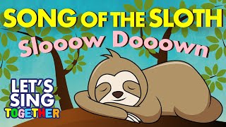 Song of the Sloth Slow Down [upl. by Morehouse156]