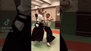 aikido master hapkido amazing skills martial arts karate Kung Fu wushu Shaolin extreme stunts omg [upl. by Aicia]