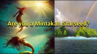 Mintakan Starseed✨ Origin History Landscape Characteristics 🧜‍♀️ [upl. by Jennie]