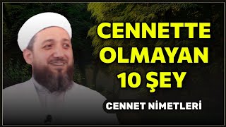 Cennette olmayan 10 şey  Cennet Nimetleri [upl. by Isyed577]