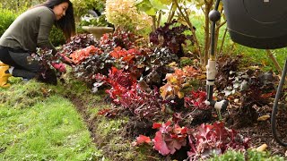 Planting 21 Heucheras in my GARDEN 🌿 Soil amp Margaritas [upl. by Plato]