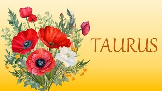 TAURUS 💕 Love Tarot November 2 2024 Today Card Reading 🧡 Daily Prediction 🧡 Single Couple [upl. by Anemaj]