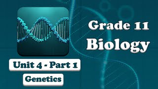 Grade 11 Biology UNIT 4 Genetics Part 1 Mr Ebisa Geleta [upl. by Anastas]