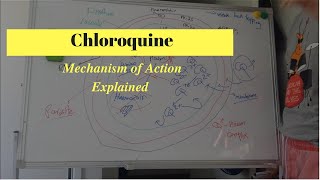 Antimalarial Drug Mechanism of Action  What is Chloroquine [upl. by Andrel]