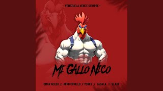 Mi Gallo Nico [upl. by Schechter289]