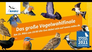 Das große NABUVogelwahlfinale [upl. by Karl601]