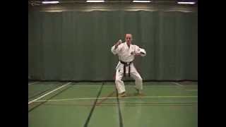 10 KATA SHORINRYU Matsubayashi Pinan Godan [upl. by Cully572]