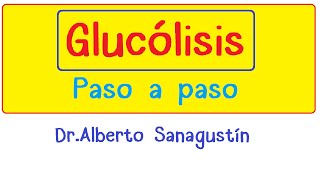 RESPIRACIÓN CELULAR Glucólisis Ciclo de Krebs Cadena de transporte de electrones [upl. by Cronin]