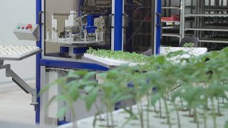 ISO Group introduces how robotization in propagation can help the grower work efficiently [upl. by Box]