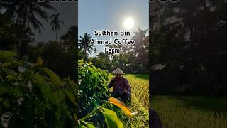 ARABICA COFFEE SULTHAN BIN AHMAD 1 ST ANNIVERSARY [upl. by Nnayhs]