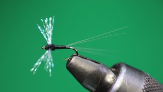 TRICO SPINNER  FLY TYING TUTORIAL [upl. by Ennaeirrac336]