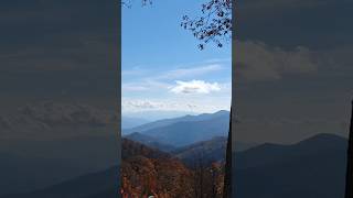 Smoky Mountains northcarolina usa america naturelovers naturephotography forest [upl. by Wolff]