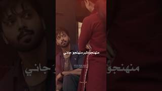 Muhajo Dilber Muhanji Jani Sindhi Trending song sindhiStatusSongs [upl. by Ahsikcin965]