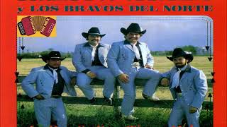 RAMON AYALA Y LOS BRAVOS DEL NORTE TIERRA MALA [upl. by Gretchen325]