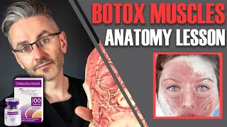 What Are The Side Effects Of Botox  This Morning [upl. by Anaiq]