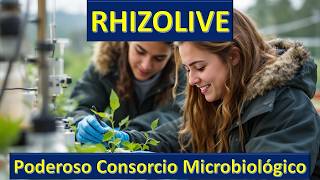 RHIZOLIVE Concepto aplicaciones y avances [upl. by Magulac401]