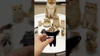 How to deal with kittens hair loss shortvideo cuteanimals pets cute cat [upl. by Fenton799]