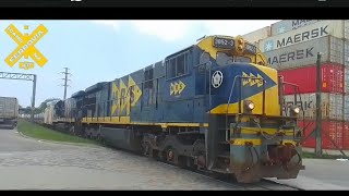 c367c307 MRS logística chegando com trem de container no ramal da tecon em PCZ Conceiçãozinha [upl. by Nylirek515]