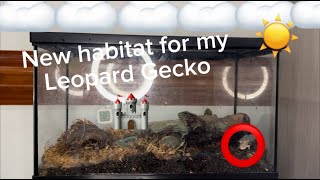 Giving my Leopard Gecko a HUGE UPGRADE [upl. by Nilerual314]