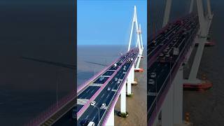 Expansion Gaps of bridge  🤷🤯 facts knowledge science respect safety amazing youtubeshorts [upl. by Frere]