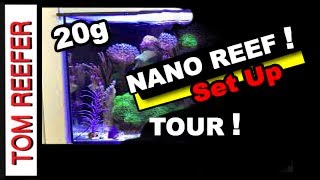 Nano Reef Tank  SET UP TOUR  20 Gallon NANO REEF  WATERBOX [upl. by Ronoh]