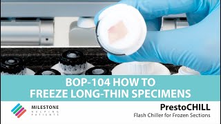 PrestoCHILL  BOP104  How to freeze long thin specimens [upl. by Esihcoc]