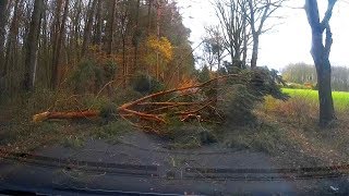 Sturm legt Baum im Bocholter Stadtwald quer auf Strasse [upl. by Hgielanna]