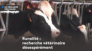 Le meilleur des mags 2022  recherche vétérinaire rural désespérément [upl. by Rj32]