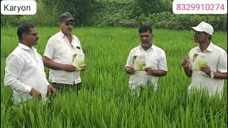 Karyon Organic Pvt Ltd भात पीक एकच नंबर8329910274 [upl. by Reece235]