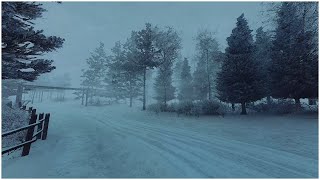 Freezing Blizzard Sounds for Sleeping in the Mountain┇Howling Wind Storm amp Loud Blowing Snow [upl. by Ahsead]