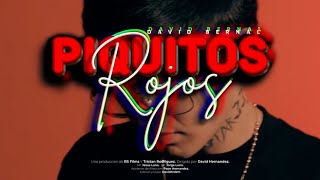 Piquitos Rojos  David Bernal Video Oficial [upl. by Eilram]