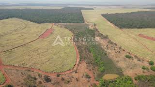 Fazenda à venda em Ituiutaba com 30 alqueires mineiros  Triangulo Mineiro  Minas Gerais [upl. by Oab475]