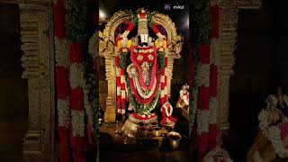 Venkateshwar swamy venkateswaraswamysongs annamayyasong shortvideo [upl. by Eirrek]