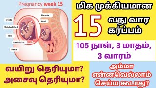 15 week of pregnancy in tamil  15 week pregnancy symtoms in tamil  15 weeks pregnancy baby growth [upl. by Carpenter]