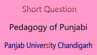 Short Note question pedagogy of punjabi bed 1st semester panjab university chandigarh [upl. by Eirojam]