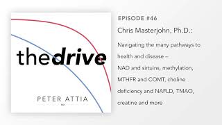 46–Chris Masterjohn PhD Pathways to health and disease NAD sirtuins methylation choline [upl. by Ebonee]