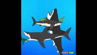 A megalodon lives in my front yard Shorts ｜sharks for kids｜CoCosToy [upl. by Tibbs]