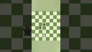 Chess brillant move   best brilliant move in chess shorts chess [upl. by Eleon]