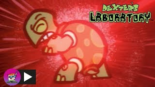 Dexters Laboratory  Techno Turtle  Cartoon Network [upl. by Lledniuq488]