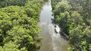 Tingalpa Creek A different view [upl. by Zullo]