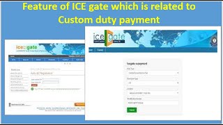 Feature of ICE gate which is related to Custom duty payment [upl. by Anirav]