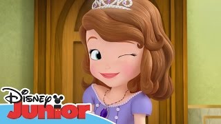 Sofia the First  Friendship is the Formula  Official Disney Junior Africa [upl. by Jareen]