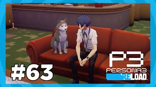 KOROMARU  Persona 3 Reload Gameplay Walkthrough Part 63 [upl. by Eytteb]