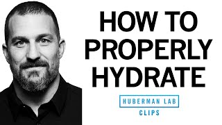 How to Properly Hydrate amp How Much Water to Drink Each Day  Dr Andrew Huberman [upl. by Atinor230]