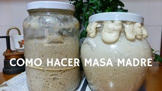 Como hacer masa madre  Receta casera para hacer pan en casa [upl. by Airdnaed289]