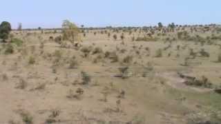 Scrubbed Barren land near Amravati [upl. by Fitzpatrick351]