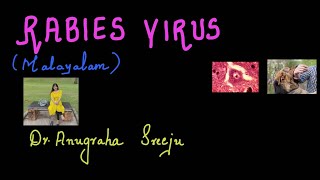 RABIES VIRUS  MALAYALAM MICROBIOLOGY FOR MEDICOS [upl. by Duwe753]