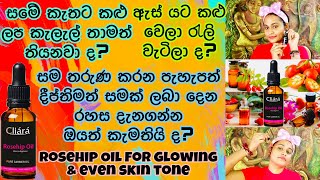 කළු ලප ඉවත් කරන සම තරුණ කරන Rosehip Seed Oil  Benefits And Beauty Hacks With Rosehip Seed Oil [upl. by Ahtnicaj908]