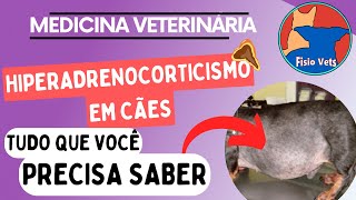 Hiperadrenocorticismo Canino  Fisiopatologia Sinais Clínicos e Diagnóstico [upl. by Arther]